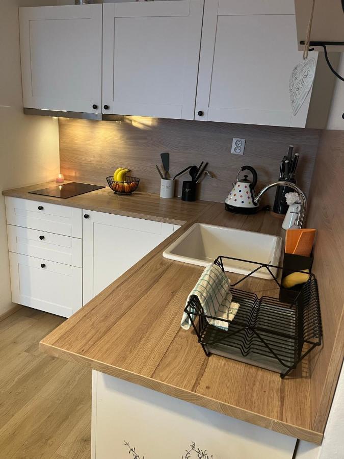 Utulny Apartman Na Dolni Morave Dolni Morava Exterior photo